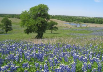 Ranchers’ and Landowners’ Association of Texas Candidate  Forum